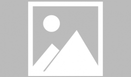 土狗交配视频,自然繁衍的生动写照